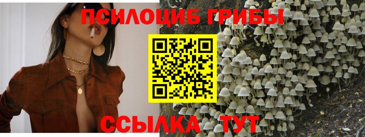 Псилоцибиновые грибы ЛСД Санкт-Петербург