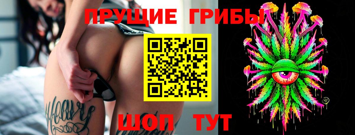 Санкт-Петербург  Псилоцибиновые грибы прущие грибы  Псилоцибиновые грибы мицелий  Вход с VPN 